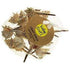 AussieSuperStore Art & Craft Essentials Craft Spikey Shells Craft Spikey Shells | Shells for Crafting 9331468051909 VJY502